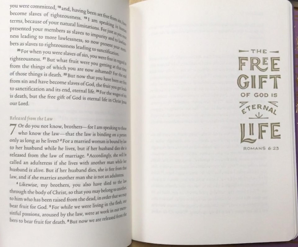 ESV Illuminated Scripture Journal